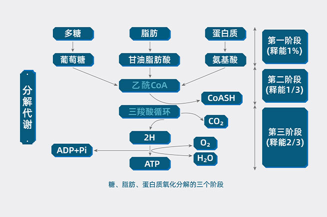 &#20048;&#40060;&#23448;&#26041;&#31471;&#32593;&#31449;&#30331;&#24405;&#20837;&#21475;&#45;&#20048;&#40060;&#108;&#101;&#121;&#117;&#40;&#20013;&#22269;&#41;